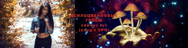 дурь Белокуриха