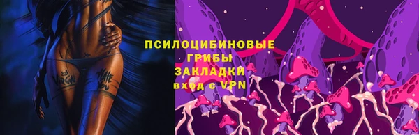 дурь Белокуриха